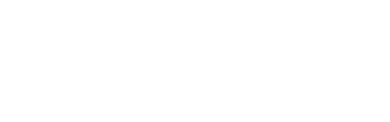 Santinni logo